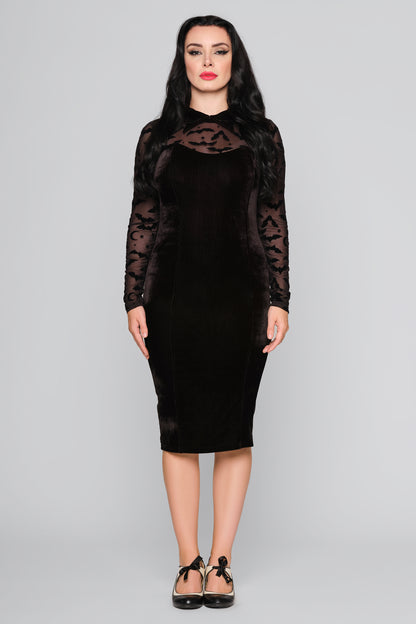 Rooey Bat Mesh Velvet Pencil Dress