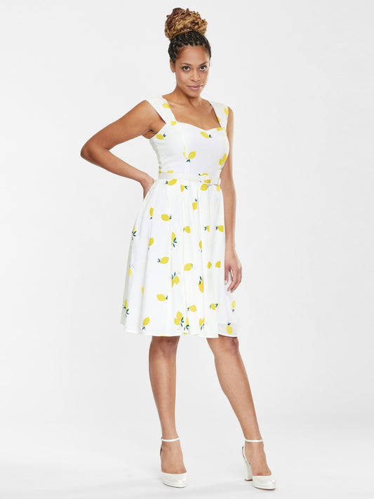 Jill Lemons Swing Dress